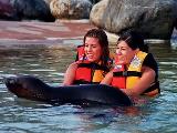 Sea Lion Discovery Sea Lion Discovery